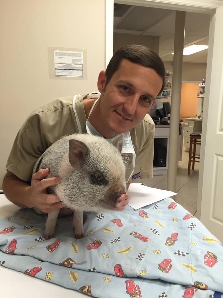 Hiers and a pet Pig